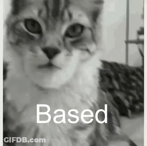 Black And White Cat Saying Based GIF