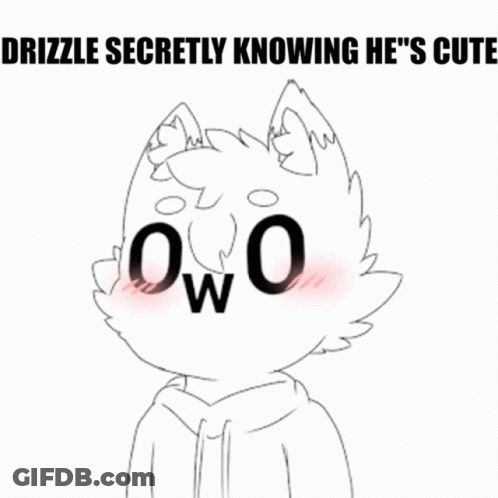 Black And White Cat Saying Drizzle Secretly Knowing He's Cute GIF
