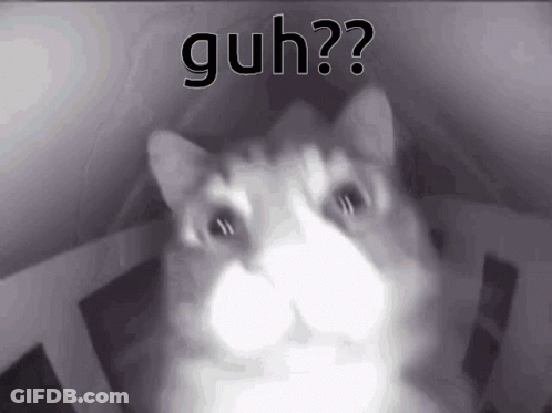 Black And White Cat Saying Guh GIF