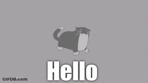 Black And White Cat Saying Hello GIF