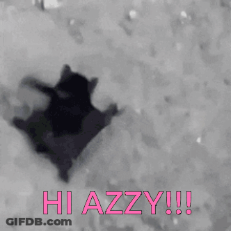 Black And White Cat Saying Hi Azzy In Pink GIF