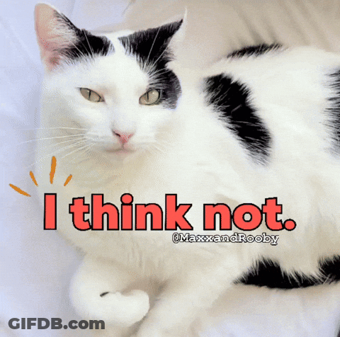Black And White Cat Saying I Think Not GIF