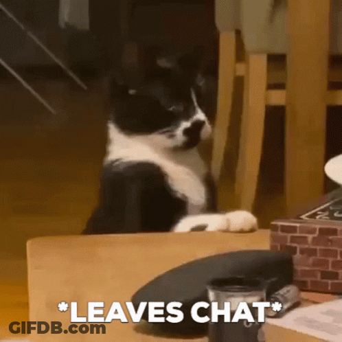 Black And White Cat Saying Leaves Chat GIF