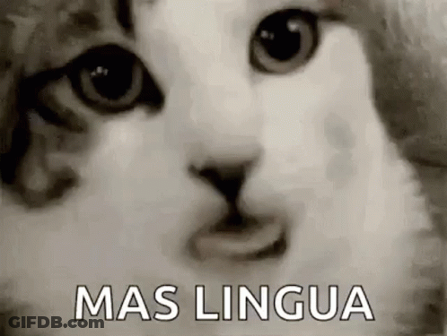 Black And White Cat Saying Mas Lingua GIF