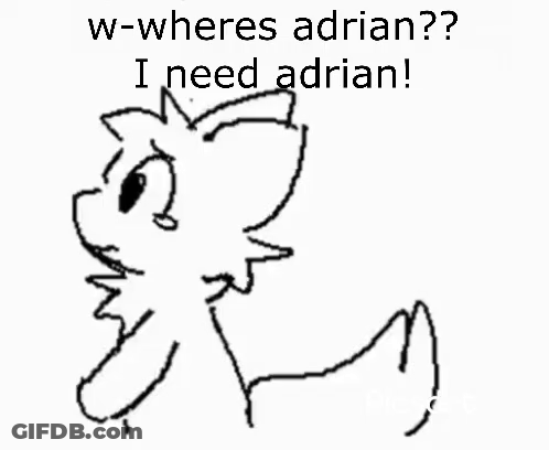 Black And White Cat Saying W-Wheres Adrian I Need Adrian GIF