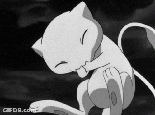 Black And White Cat Scratching GIF