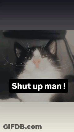 Black And White Cat Shut Up Man GIF