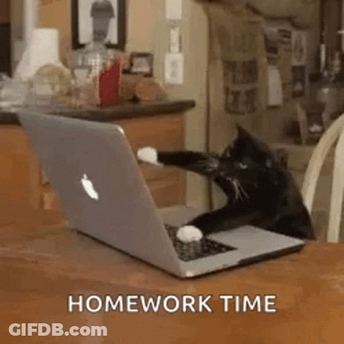 Black And White Cat Sitting At Laptop GIF