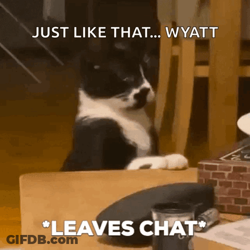 Black And White Cat Sitting GIF