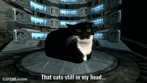 Black And White Cat Sitting In Dark Room Saying That Cat's Still In My Head GIF