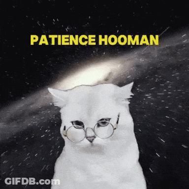 Black And White Cat Sitting In Driver Seat Looking Out Window GIF