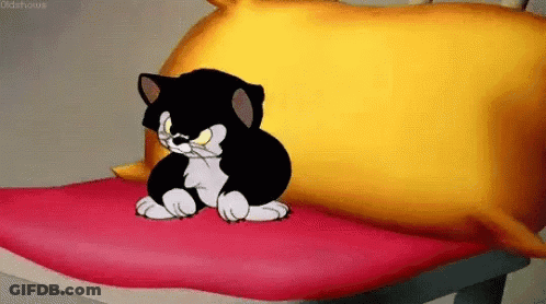 Black And White Cat Sitting On Bed GIF