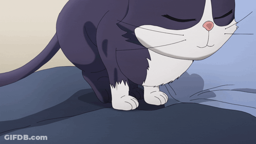 Black And White Cat Sitting On Bed GIF