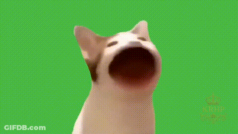 Black And White Cat Sitting On Couch GIF