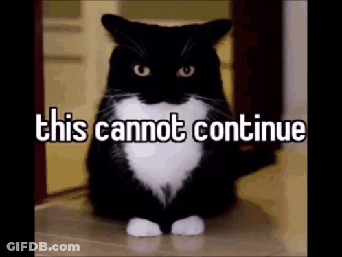 Black And White Cat Sitting On Floor This Cannot Continue GIF