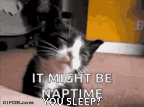 Black And White Cat Sleeping On Lap Says It Might Be Naptime You Sleep GIF