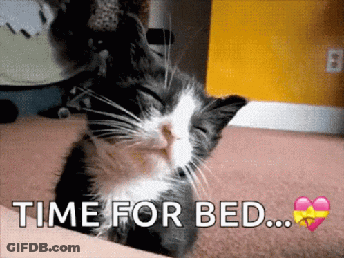 Black And White Cat Sleeping Time For Bed GIF