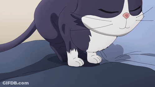 Black And White Cat Sleeping GIF