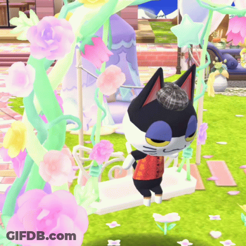 Black And White Cat Standing On White Swing GIF