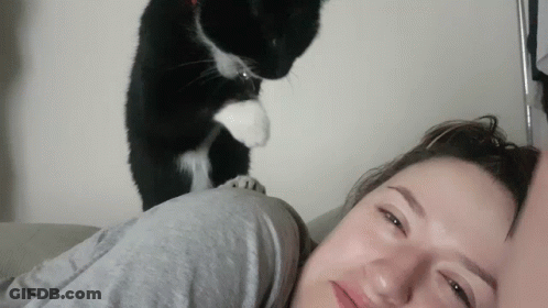 Black And White Cat Standing On Woman's Head GIF