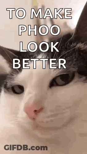 Black And White Cat To Make Phoo Look Better GIF