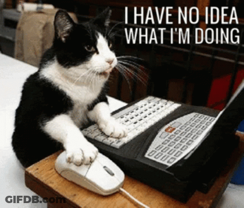 Black And White Cat Typing Saying I Have No Idea What I'm Doing GIF