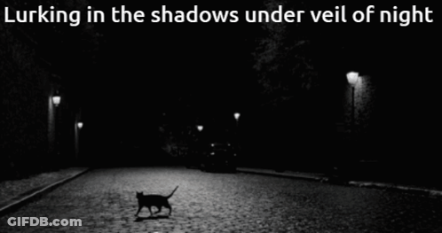 Black And White Cat Walking At Night Lurking In Shadows Under Veil Of Ni GIF