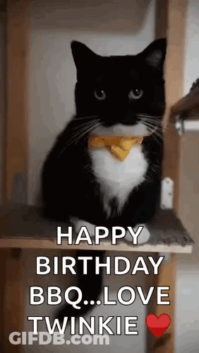 Black And White Cat Wearing Bow Tie Says Happy Birthday GIF