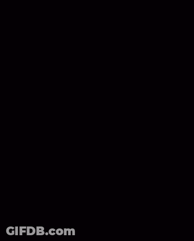 Black And White Cat Wearing Chrome Hearts Hat GIF