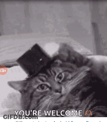 Black And White Cat Wearing Top Hat Saying Youre Welcome GIF