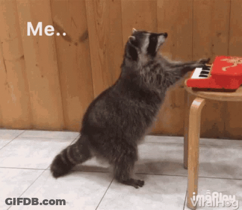 Black And White Cat Winking GIF