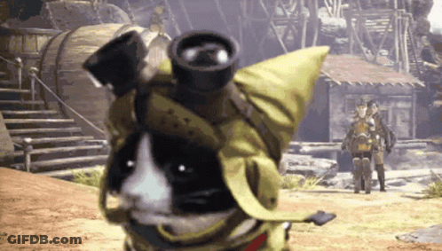 Black And White Cat With Backpack Looking Through Binoculars GIF