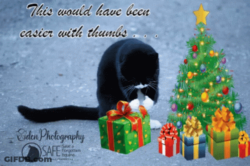 Black And White Cat With Christmas Tree And Gifts GIF