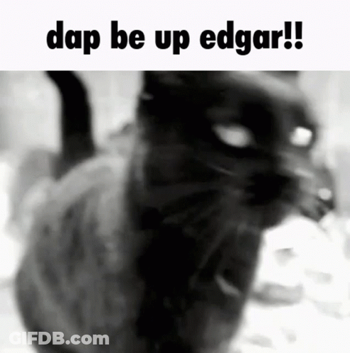 Black And White Cat With Dap Be Up Edgar GIF