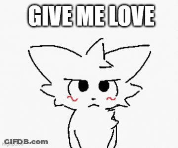 Black And White Cat With Give Me Love GIF