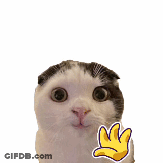 Black And White Cat With Hand Sticker GIF