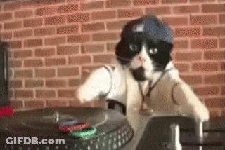 Black And White Cat With Hat And Headphones Playing Record GIF