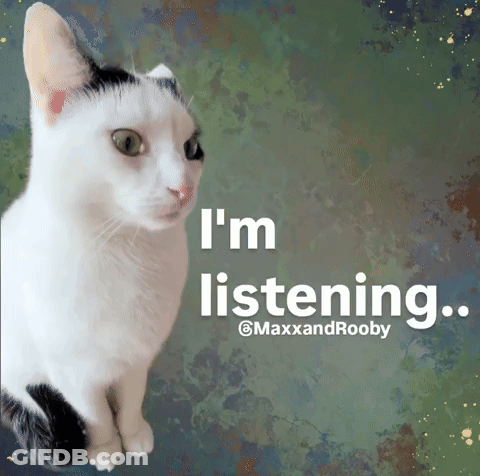 Black And White Cat With I'm Listening Behind It GIF