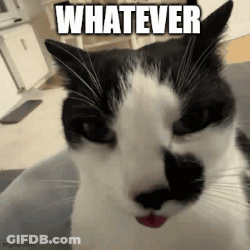 Black And White Cat With Mustache In Bucket Saying Whatever GIF