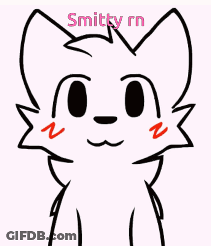 Black And White Cat With Name Smithy Rn GIF