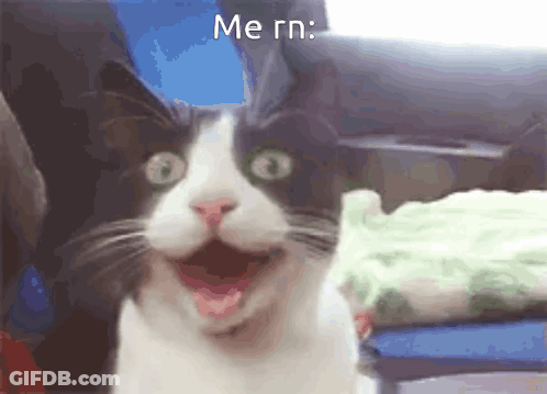 Black And White Cat With Open Mouth Saying Me Rn GIF