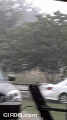 Black And White Cat With Steam Frame June 27Th GIF