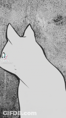 Black And White Cat With TikTok Logo GIF