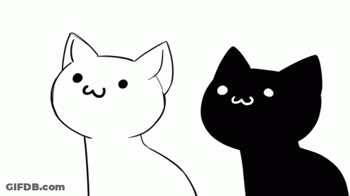 Black And White Cat With Yellow Square On Head GIF