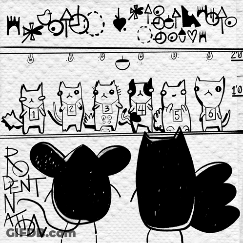 Black And White Cats And Mouse With Rent GIF