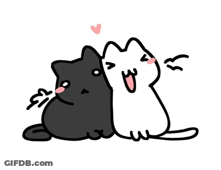 Black And White Cats Lying Together GIF