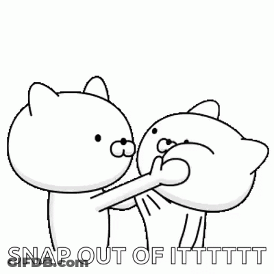 Black And White Cats Snap Out Of It GIF