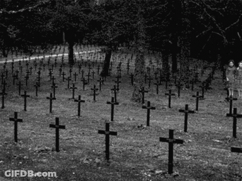 Black And White Cemetery Photo GIF