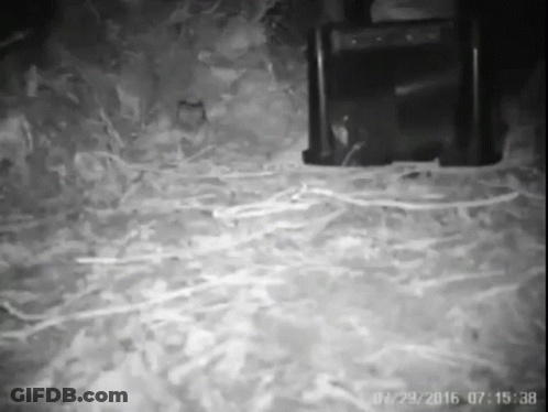Black And White Chair And Speaker GIF