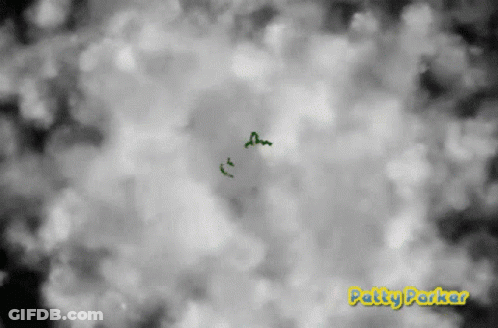 Black And White Cloudy Sky Patty Parker GIF